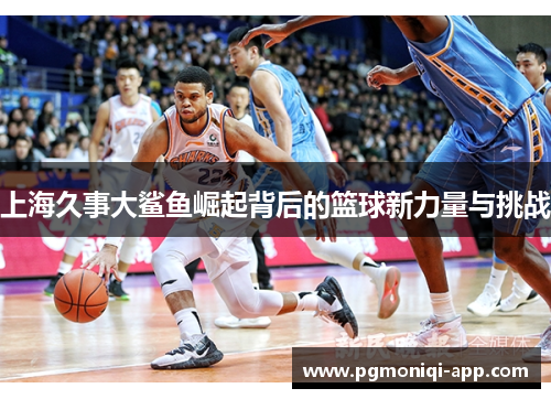 上海久事大鲨鱼崛起背后的篮球新力量与挑战